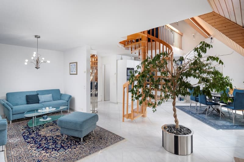 Bel appartement mansardé avec galerie (6)