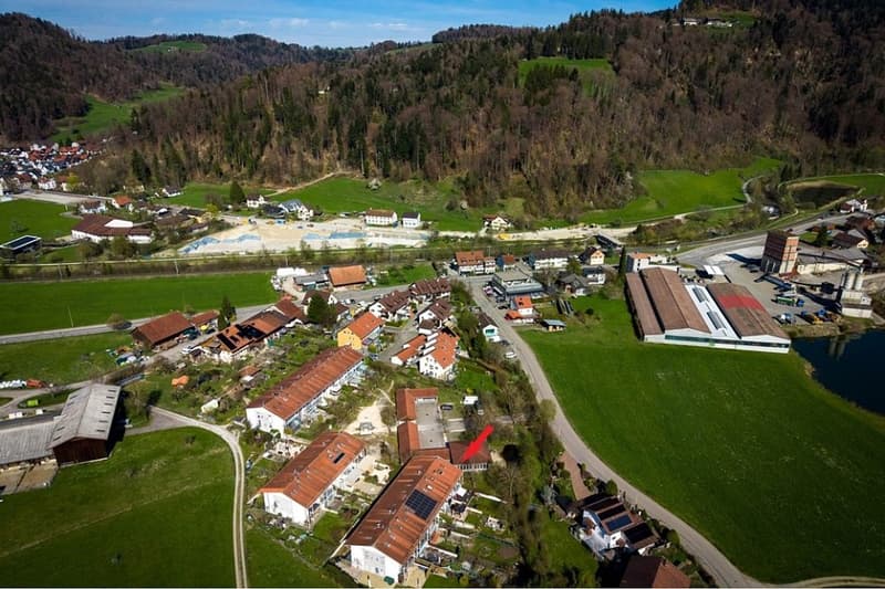 Sehr helle Wohnräume, renoviert mit sonnigem Garten (5)