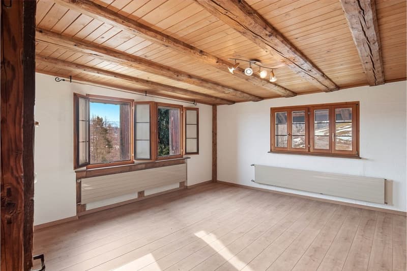 Cozy living and enjoying with mountain views in the municipality of Bäretswil (9)