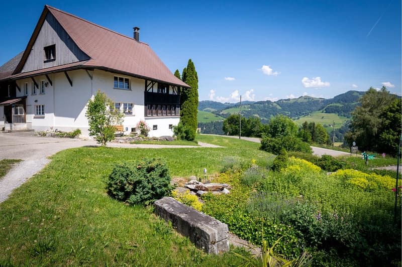 Cozy living and enjoying with mountain views in the municipality of Bäretswil (4)