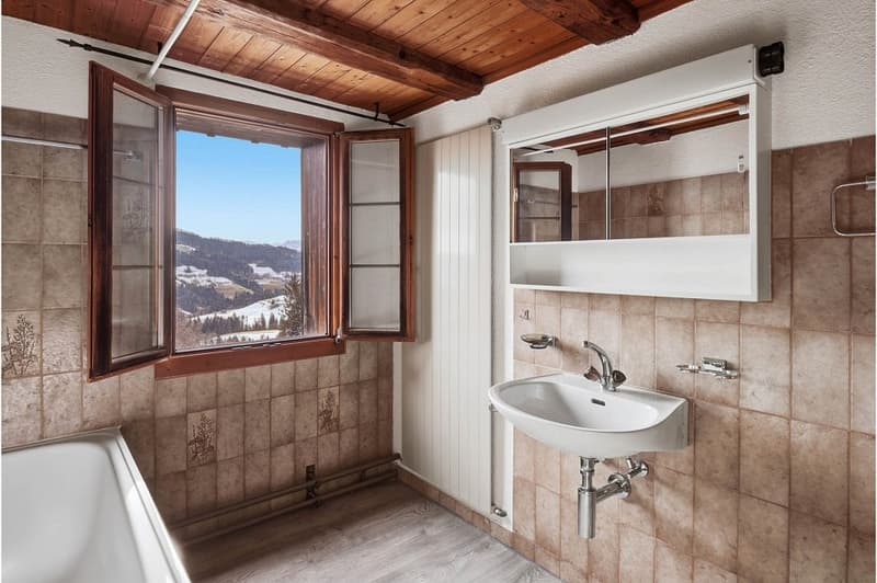 Cozy living and enjoying with mountain views in the municipality of Bäretswil (12)