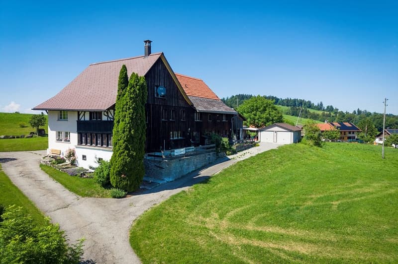 Gemütlich Leben und Geniessen mit Bergsicht in der Gemeinde Bäretswil (1)