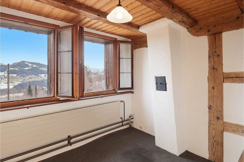 Cozy living and enjoying with mountain views in the municipality of Bäretswil (11)