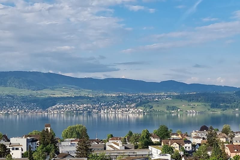Traumlage mit unverbaubarer See- und Bergsicht (1)