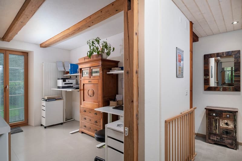 Paradies für Mensch, Hund und Katze (9)