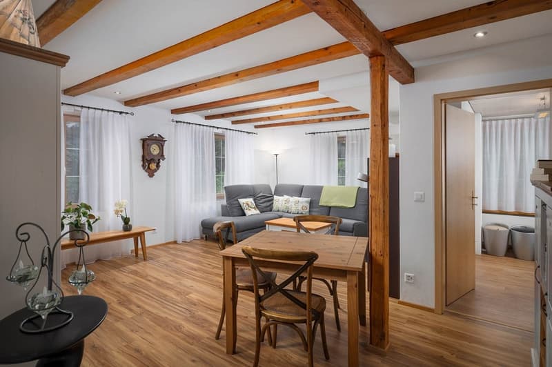Paradies für Mensch, Hund und Katze (10)