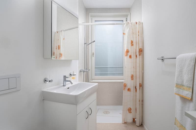 Lieben Sie aussergewöhnliche Grundrisse - Stadtwohnung mit Flair und Minergie-Standard (8)