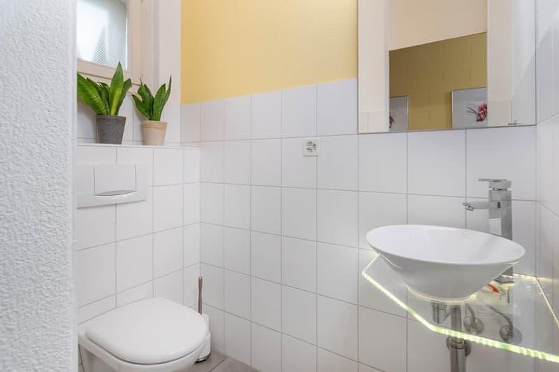 Sehr helle Wohnräume, renoviert mit sonnigem Garten (12)