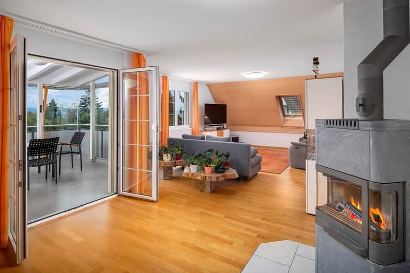 Gepflegte, grosszügige Dachwohnung (1)