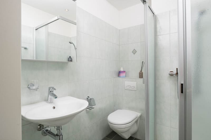 Gepflegte, grosszügige Dachwohnung (7)