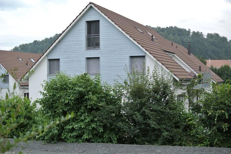 Originelle Maisonettewohnung an ruhiger Lage (1)