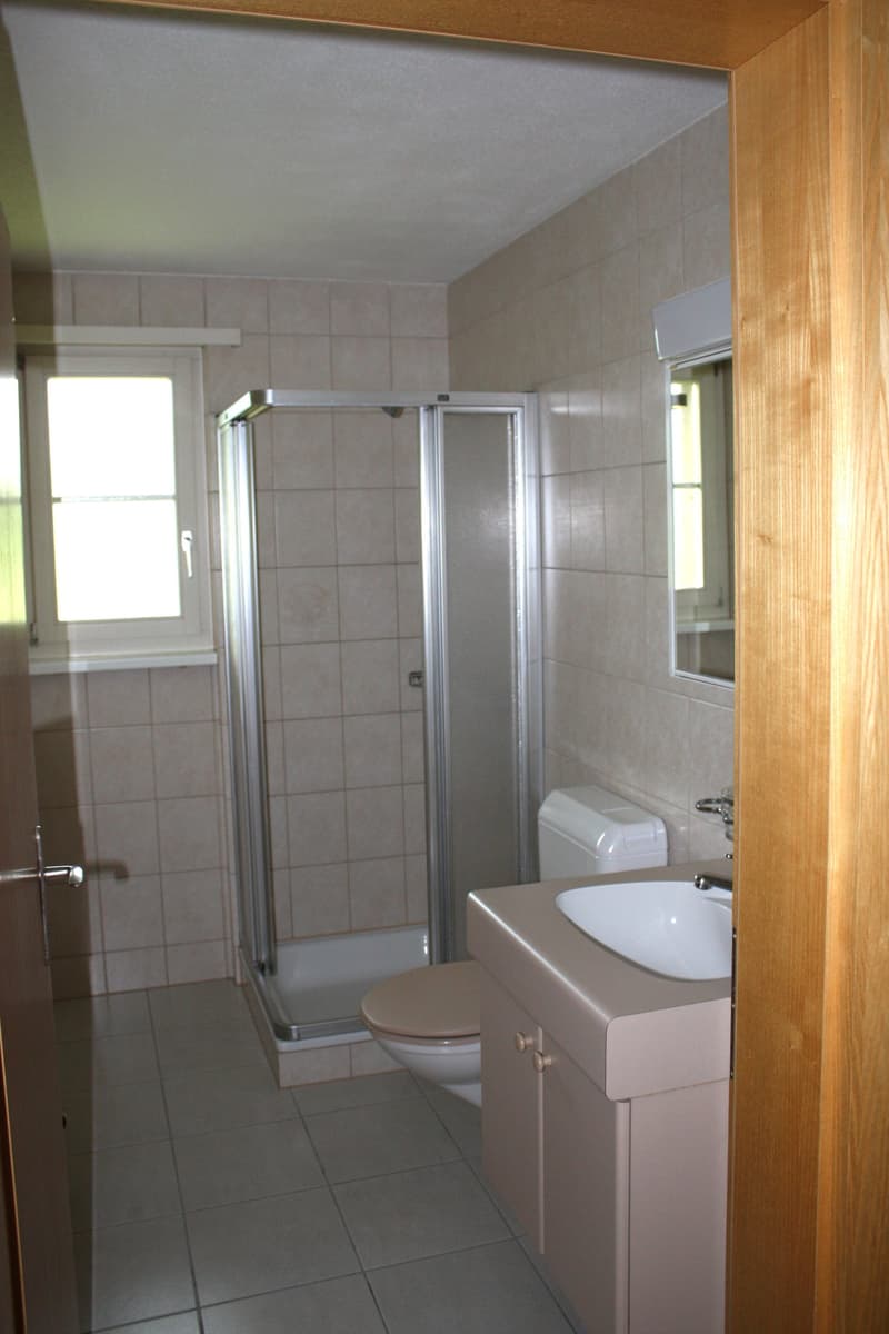 Helle 4.5-Zimmer-Wohnung mit Balkon (8)