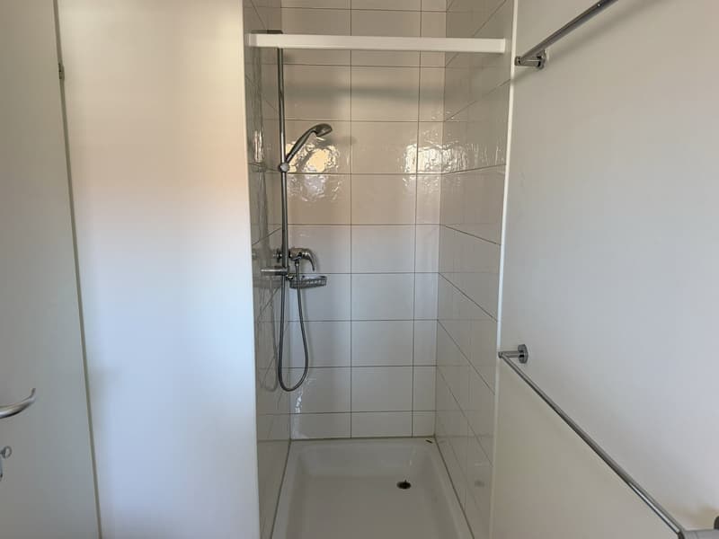 Originelle Maisonettewohnung an ruhiger Lage (11)