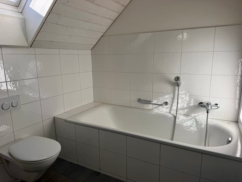 Originelle Maisonettewohnung an ruhiger Lage (7)