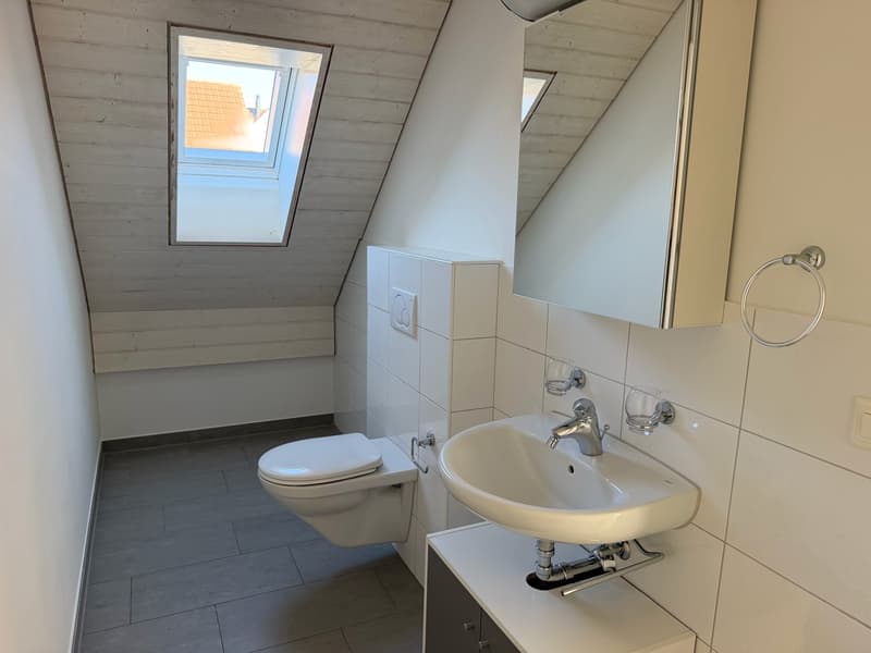 Originelle Maisonettewohnung an ruhiger Lage (12)