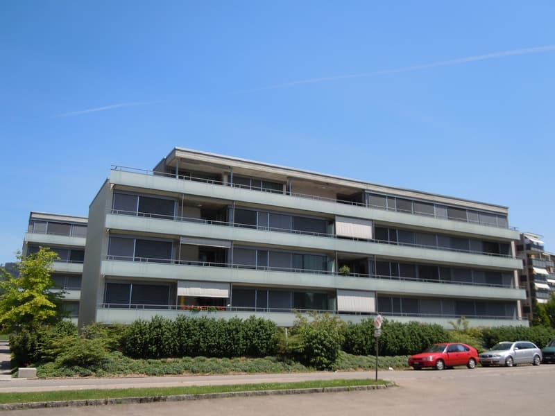 Charmante 3.5-Zimmerwohnung in Wetzikon (1)