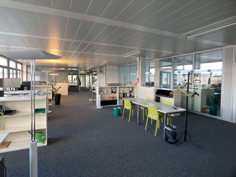The image shows a modern and open office space with a gray carpeted floor, white walls, and a gray ceiling with exposed beams. The space is furnished with various workstations, including desks, chairs, and shelving units. There are also some potted plants