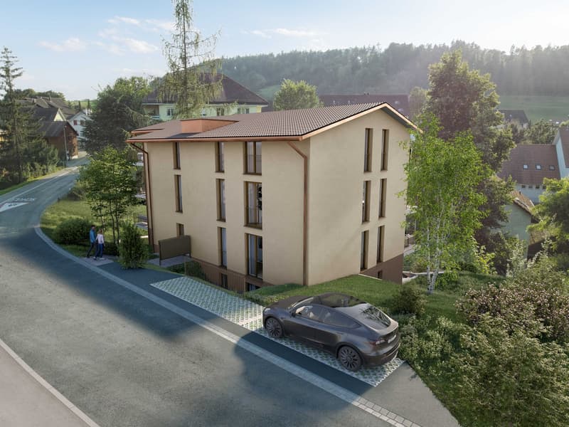 Costruzione nuova - Appartamento mansardato di 5,5 locali accogliente (2)