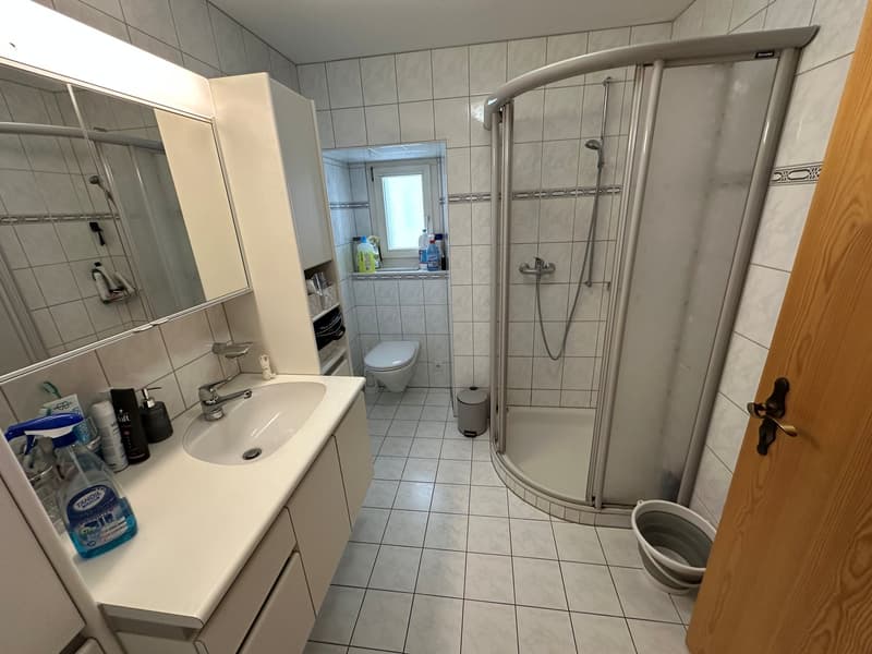 White tile, large mirror, sink, toilet, shower cubicle, white cabinet, cleaning products
