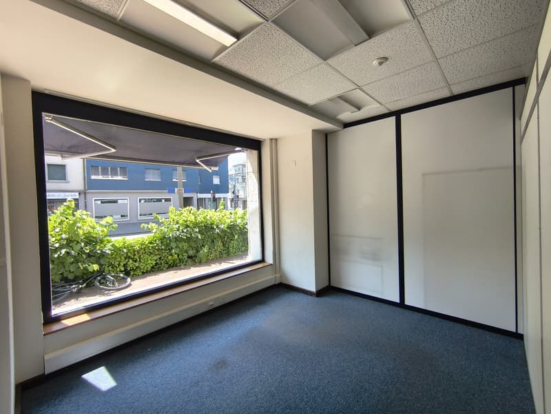 This image shows an office space with a large window overlooking a view of greenery outside. The room has a tiled ceiling, gray walls, and blue carpeted flooring. There are black framed sliding doors on the right side of the room.