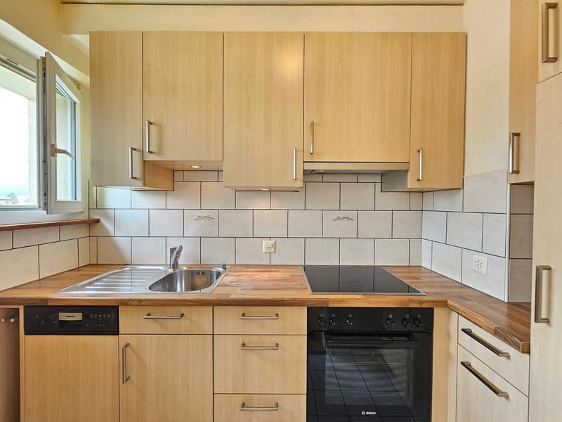 modern kitchen with oak countertops, wooden cabinets, Bosch dishwasher, Siemens washing machine, stove, sink, faucet