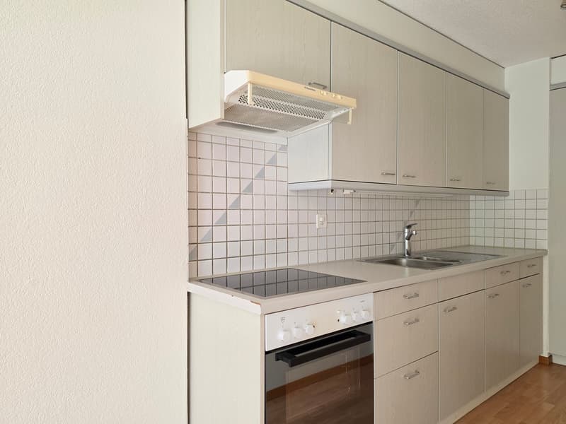 Practical apartment for singles or couples! (3)