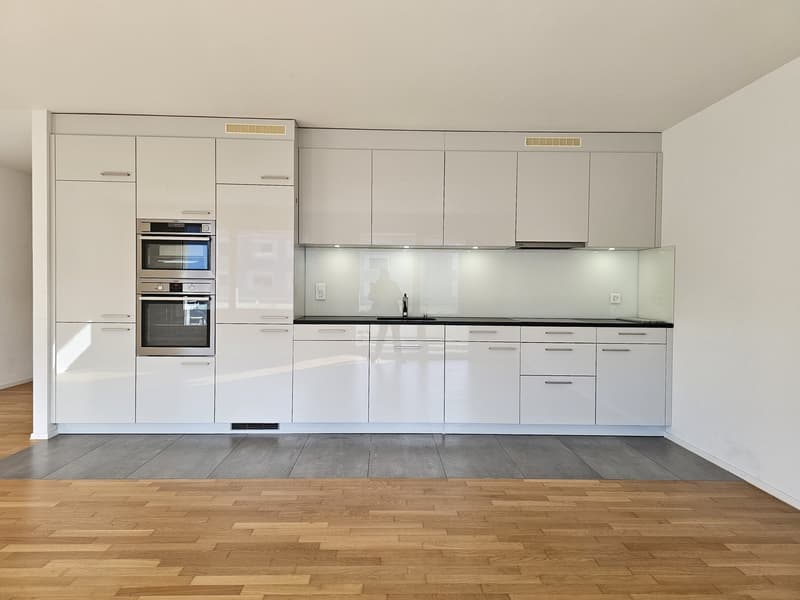 Grand appartement moderne avec balcon de 4,5 pièces (2)
