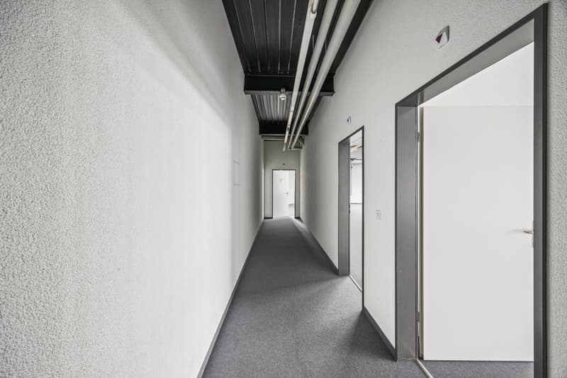 Long, narrow hallway with white walls, black ceiling beams, and gray carpeted floor. The hallway has multiple doors leading to other rooms or areas.