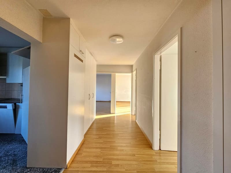 empty hallway, wooden floors, white walls, 2 white closets, light fixture