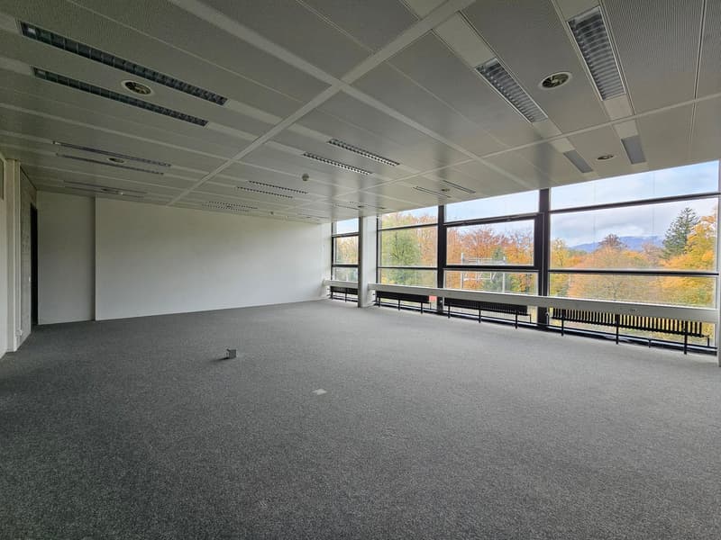 open space, gray carpet, large windows, white walls, balcony with metal railings