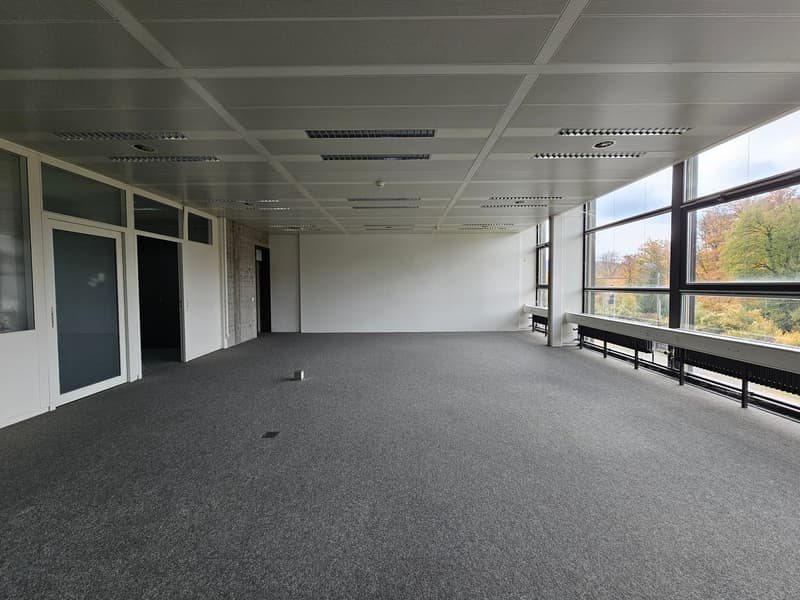 Spazi commerciali moderni a Gretzenbach - senza barriere e ben attrezzati (7)