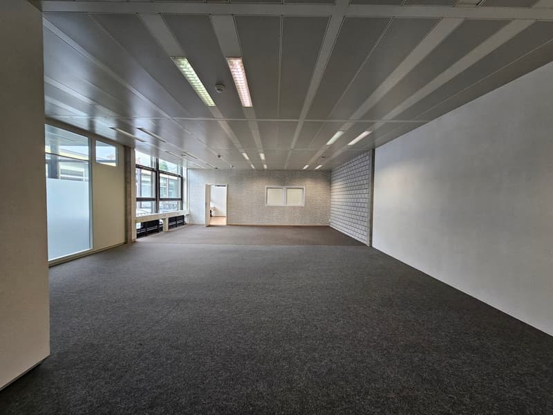 Modern & bright commercial spaces in Gretzenbach - Everything is possible! (9)
