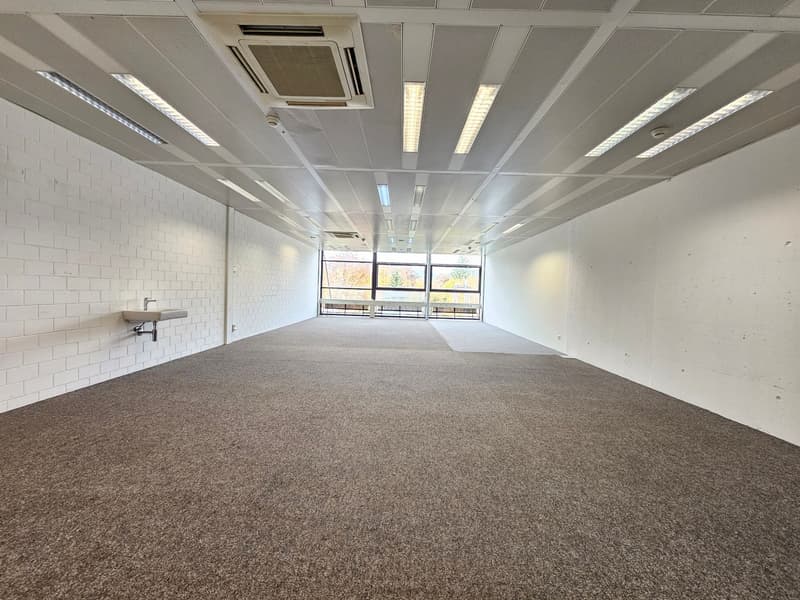 Modern & bright commercial spaces in Gretzenbach - Everything is possible! (10)