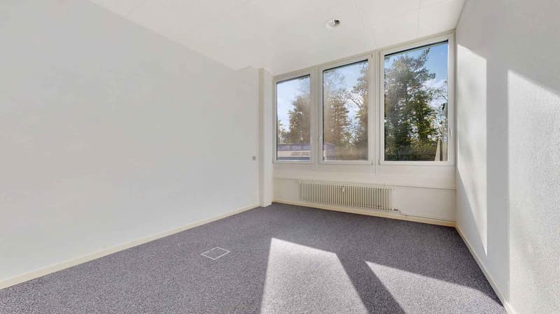 Empty room with carpeted floor, white walls, three windows, and a radiator