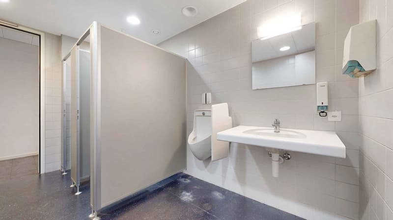 Wall mounted urinals, white sink, mirror, soap dispenser, ceiling lights