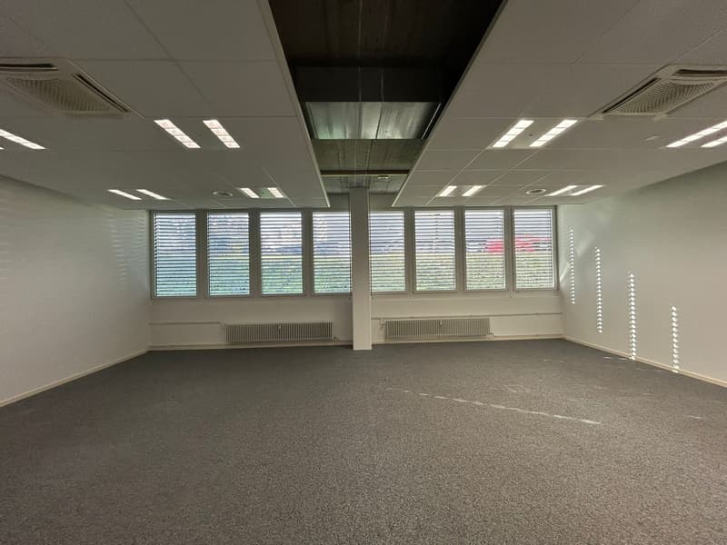 large empty room, white walls, large windows with white shutters, gray carpet, white ceiling with lights, two white radiators.