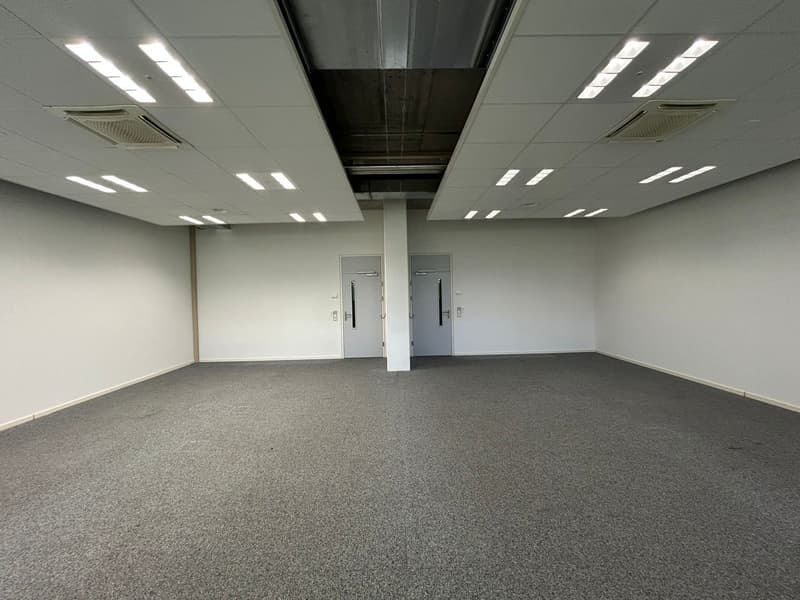 large room with gray carpet, white walls, ceiling lights, two doors