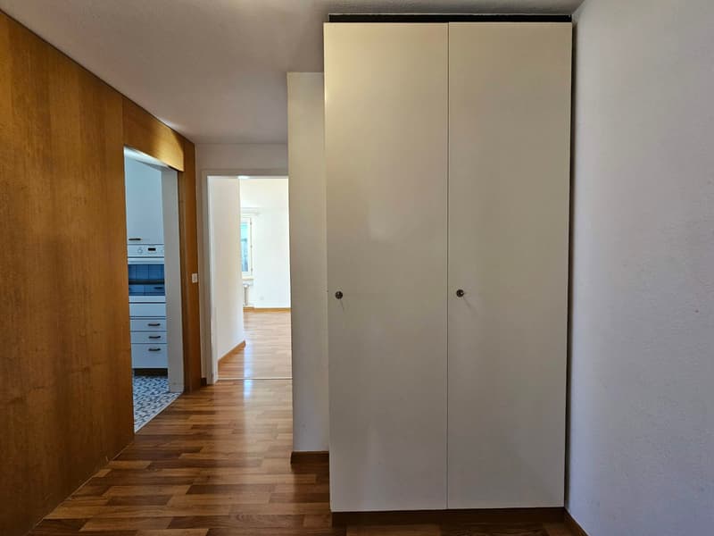 Empty hallway with wooden floor, white walls, and a white wardrobe