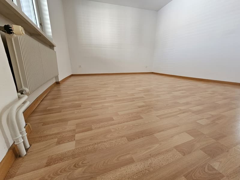 empty room, wooden floors, white walls, radiator, windows