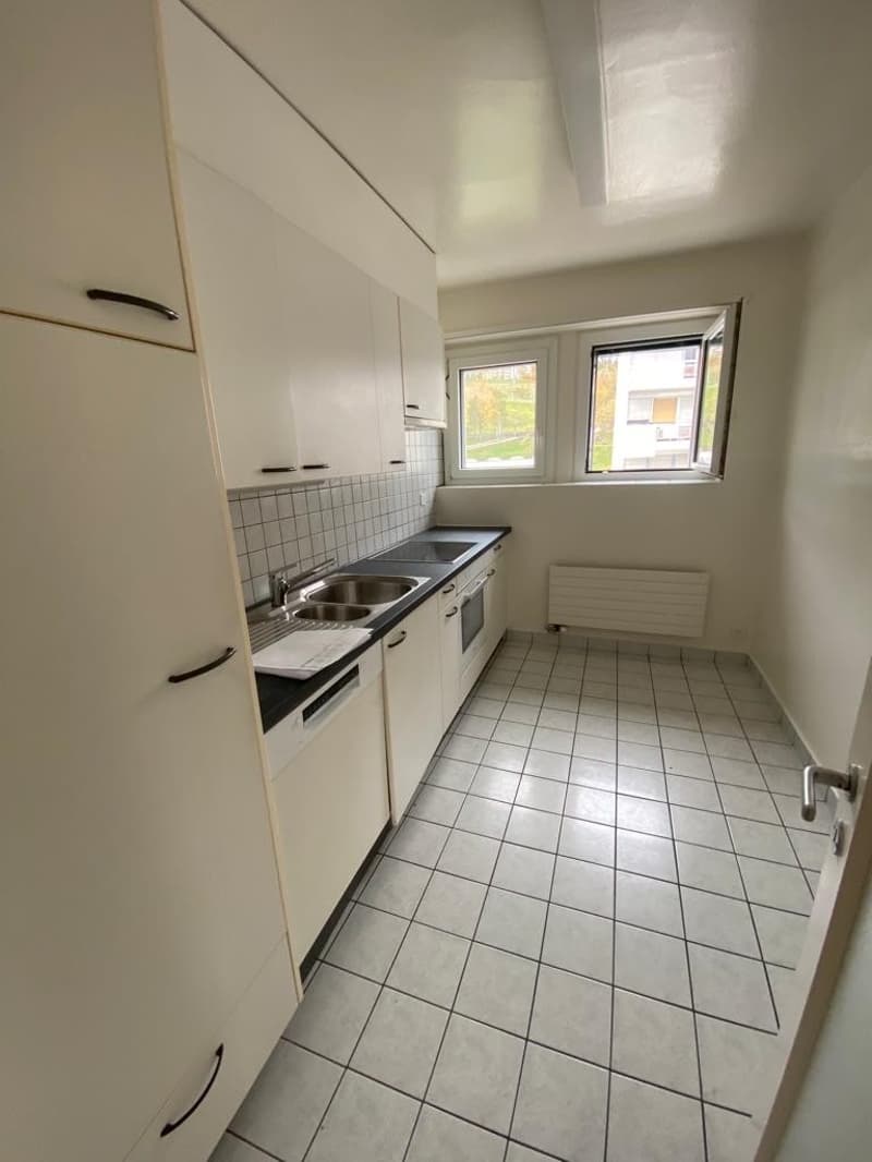 modern kitchen, white tiles, stainless steel sink, oven, dishwasher, white cabinets, two windows