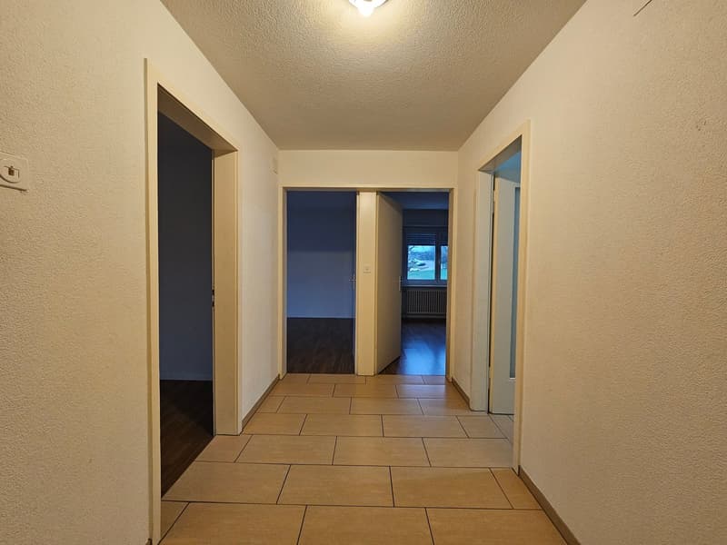 Appartement spacieux et bien entretenu avec balcon à Olten ! (8)