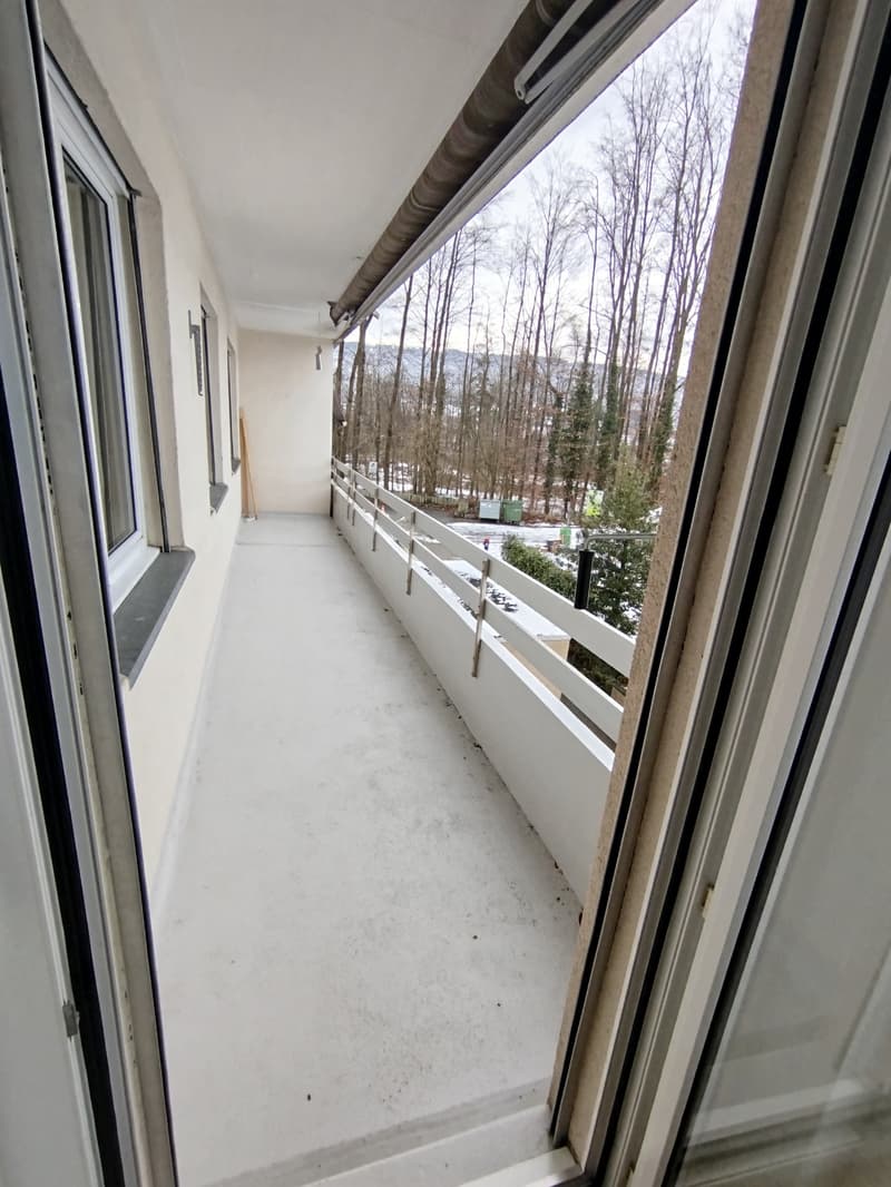 Balcony with glass railing, snow covered trees, mountain view, road with a car