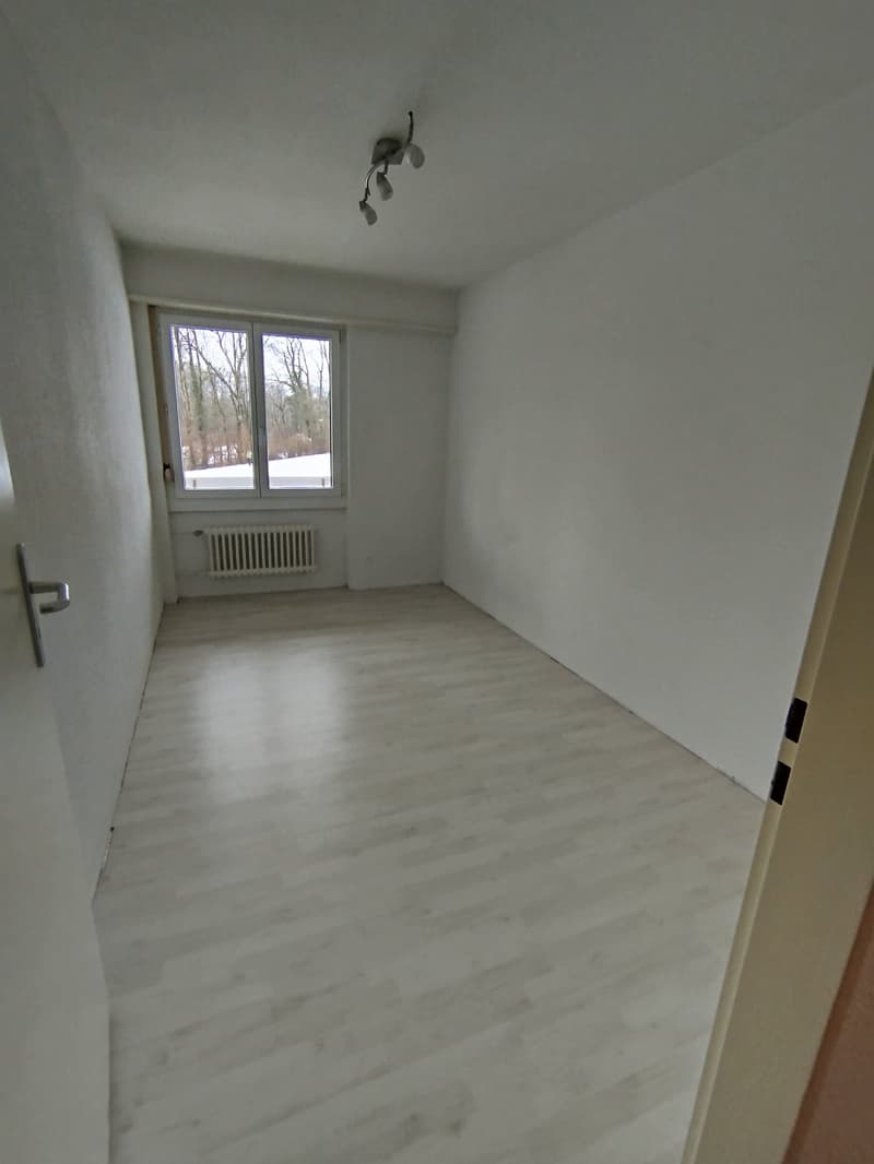 Empty room, white walls, white floor, window, radiator