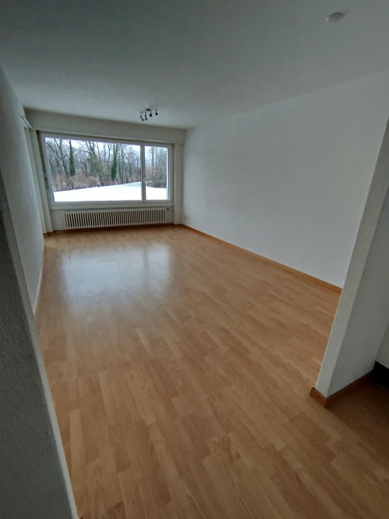 wooden floor, white walls, large window with view of trees and snowy field