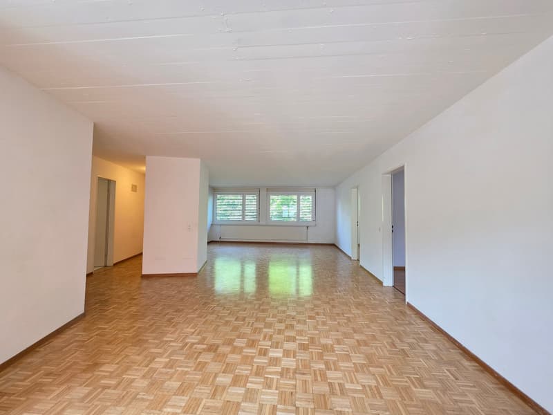 Charmante 4.5-Zimmer-Wohnung am Lindenplatz in Schaffhausen (6)