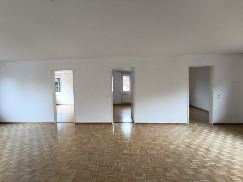 Charmante 4.5-Zimmer-Wohnung am Lindenplatz in Schaffhausen (13)