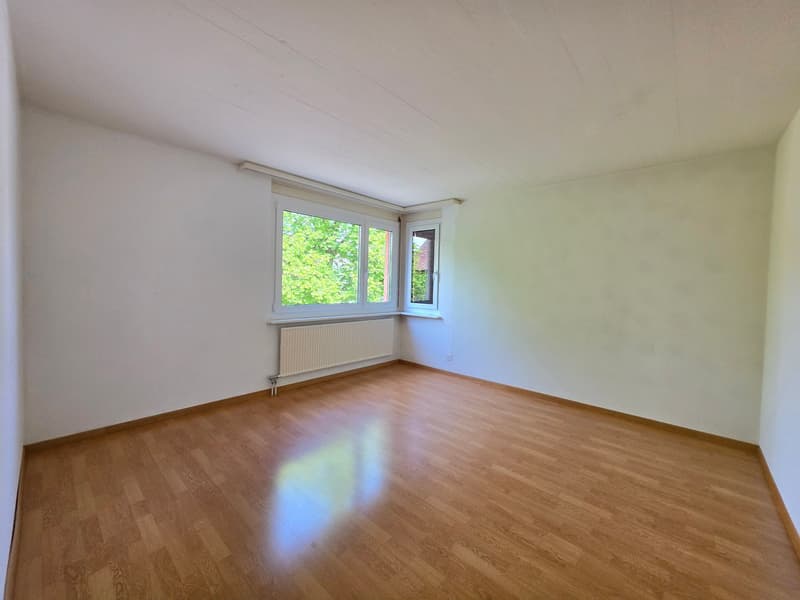 Charmante 4.5-Zimmer-Wohnung am Lindenplatz in Schaffhausen (10)