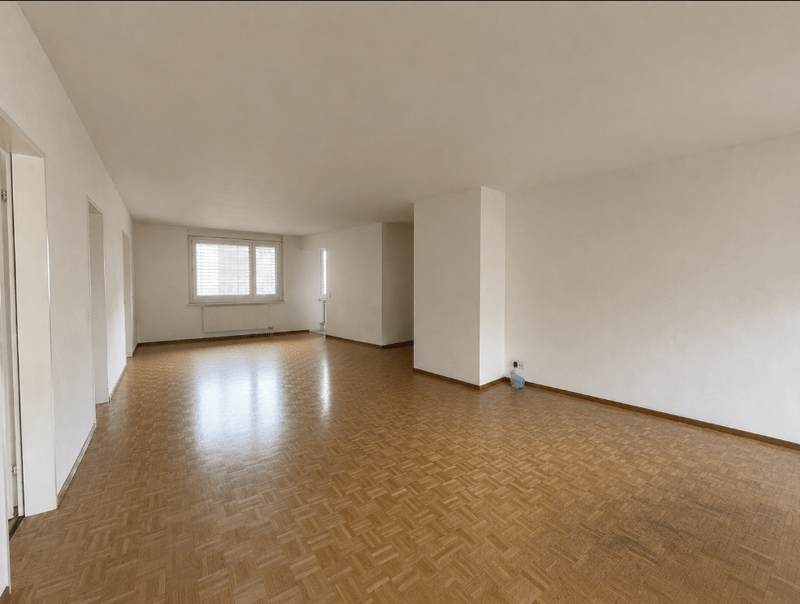Charmante 4.5-Zimmer-Wohnung am Lindenplatz in Schaffhausen (7)