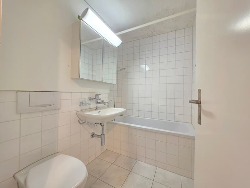 Charmante 4.5-Zimmer-Wohnung am Lindenplatz in Schaffhausen (4)