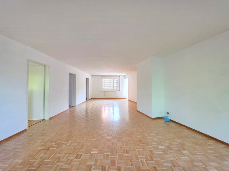 Charmante 4.5-Zimmer-Wohnung am Lindenplatz in Schaffhausen (11)